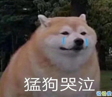 沙雕头像图片智障 沙雕头像图片智障