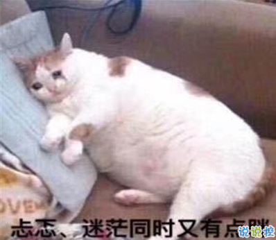 沙雕头像图片智障 沙雕头像图片智障