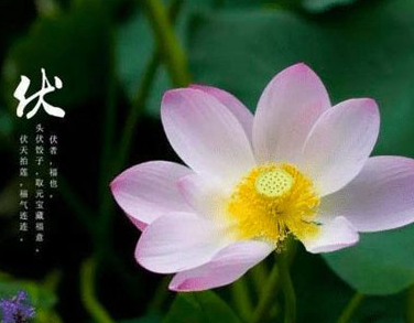 闷热的图片 闷热的图片