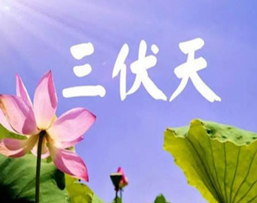 闷热的图片 闷热的图片