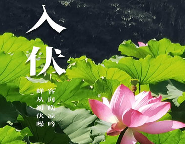 闷热的图片 闷热的图片