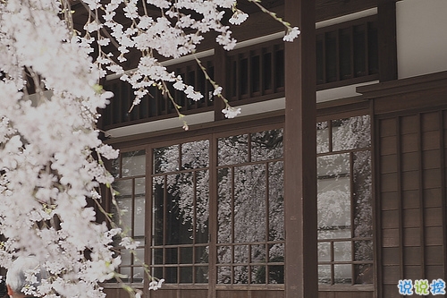 人生很现实经典励志图片说说人的一生难免有起伏 人生很现实经典励志图片说说人的一生难免有起伏