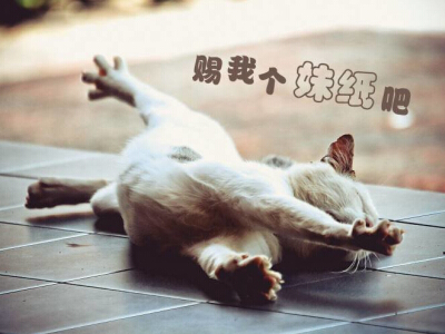 搞笑说说大全带图片6 超搞笑的说说带图片