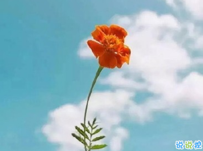 伤心到死的说说带图片 伤心到死的说说带图片