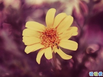 伤心到死的说说带图片 伤心到死的说说带图片