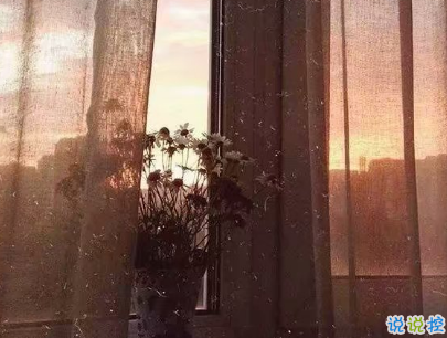 微博简介经典句子文艺 微博简介经典句子文艺