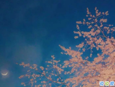 超温柔的短句 超温柔的短句