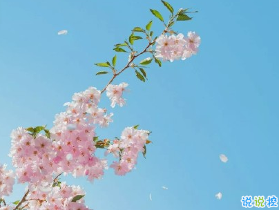 超温柔的短句 超温柔的短句