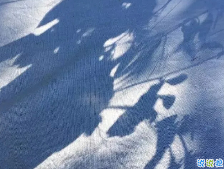 可爱幽默的句子说说心情 可爱幽默的句子说说心情