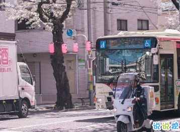 爱国家语录 爱国家语录