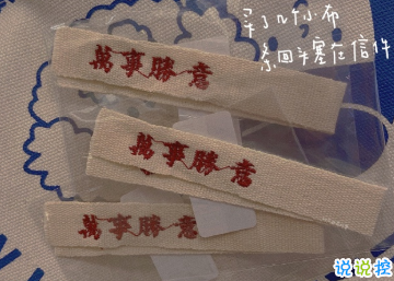 爱国家语录 爱国家语录