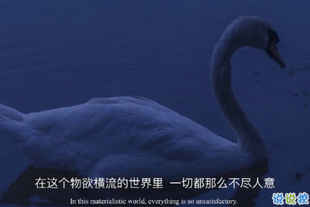 丧到让人心疼的句子配图 丧到让人心疼的句子配图