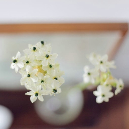 早安励志正能量的句子图片 早安励志正能量的句子图片