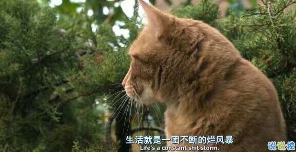 微信励志背景图片带字 微信励志背景图片带字