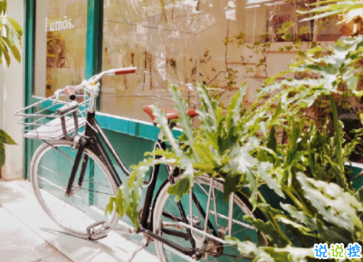 纪念日的甜言蜜语说说带图片文字 纪念日的甜言蜜语说说带图片文字