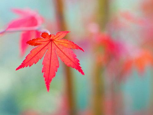 有哲理的朋友圈说说带图片 有哲理的朋友圈说说带图片