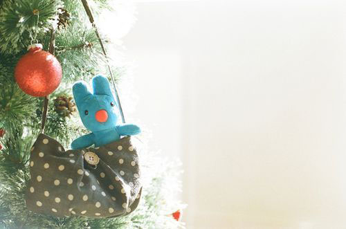 发自己成长的照片说说 发自己成长的照片说说