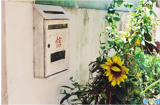 感情说说伤感的句子带图片 感情说说伤感的句子带图片