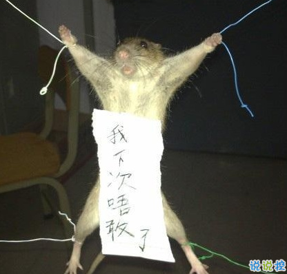 搞笑图片带字的图笑死人幽默 搞笑图片带字的图笑死人幽默