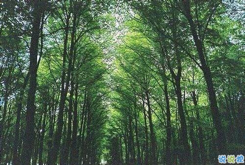很经典的英文说说带翻译有配图的句子 很经典的英文说说带翻译有配图的句子