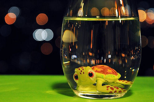 一句话经典爱情说说带图片 一句话经典爱情说说带图片