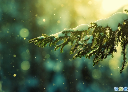 女生的伤感说说配图片 女生的伤感说说配图片