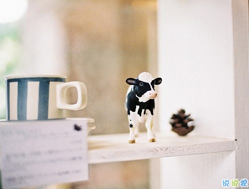 分手后的唯美伤感说说带图片 分手后的唯美伤感说说带图片