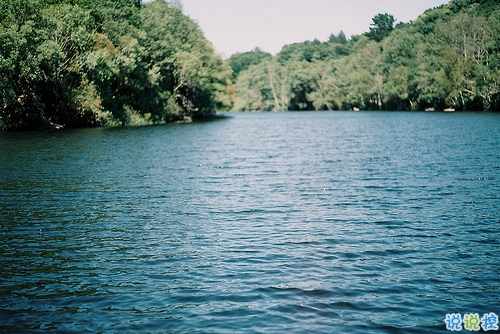 爱情的图片句子 爱情的图片句子