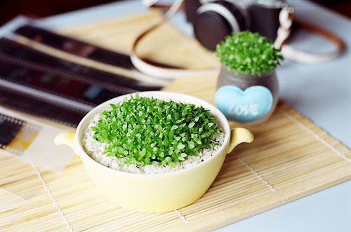 适合深夜心情不好孤独寂寞时候发的图片说说文字 适合深夜心情不好孤独寂寞时候发的图片说说文字