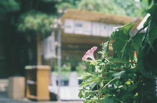 充满诗意的唯美文艺说说带图片 充满诗意的唯美文艺说说带图片