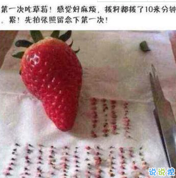 有意思的图片加说说适合发朋友圈的搞笑段子图片 有意思的图片加说说适合发朋友圈的搞笑段子图片