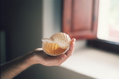 照片很美的短句关于青春 照片很美的短句关于青春