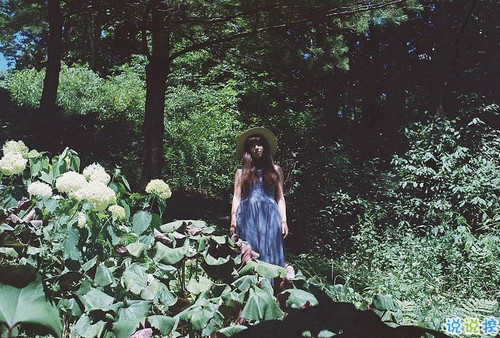 适合发朋友圈励志的早安心语 适合发朋友圈励志的早安心语