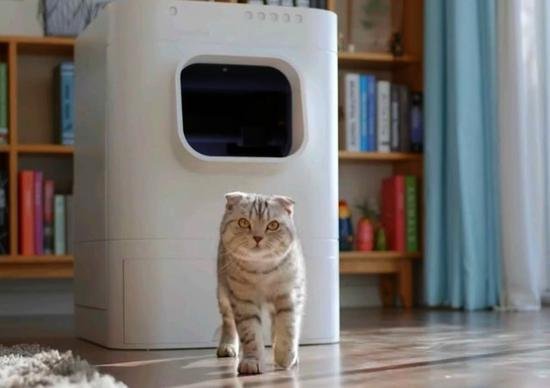 给家里猫咪准备的高科技厕所!售价六千多 给家里猫咪准备的高科技厕所!售价六千多