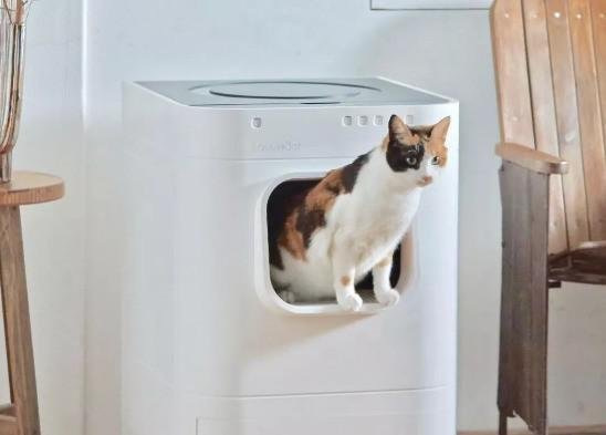 给家里猫咪准备的高科技厕所!售价六千多 给家里猫咪准备的高科技厕所!售价六千多
