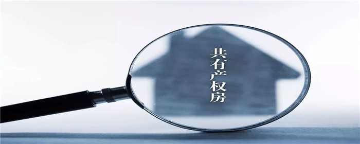 共有产权住房,共有产权房屋,共有产权房 共有产权住房,共有产权房屋,共有产权房