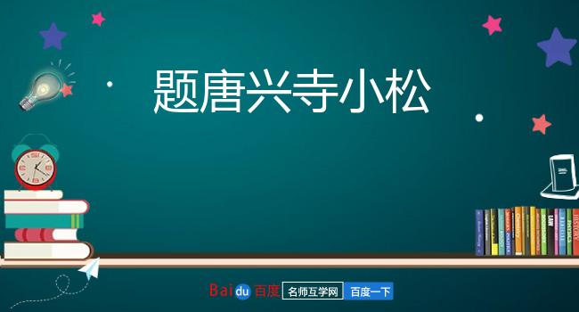 题唐兴寺小松