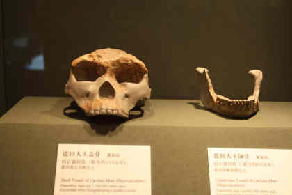 1964年11月03日：蓝田猿人头盖骨发现