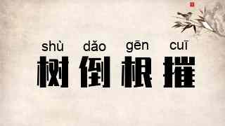 树倒根摧