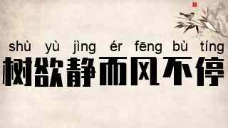 树欲静而风不停