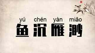 鱼沉雁渺