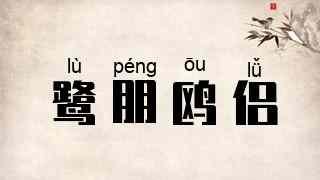 鹭朋鸥侣
