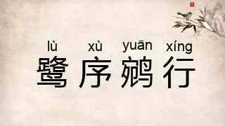 鹭序鹓行