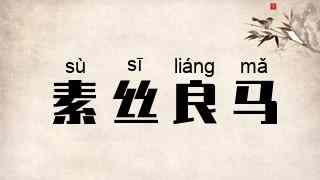 素丝良马
