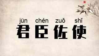 君臣佐使