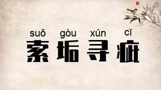 索垢寻疵
