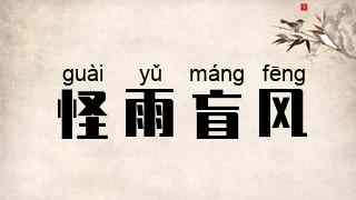 怪雨盲风