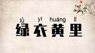 绿衣黄里