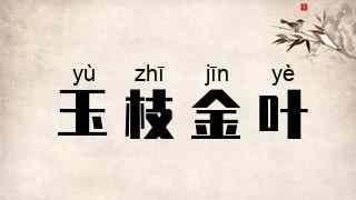 玉枝金叶