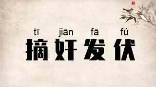 摘奸发伏